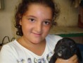 /album/puppy/a03-dsc02914-jpg/